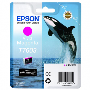 Epson T7603 Magenta